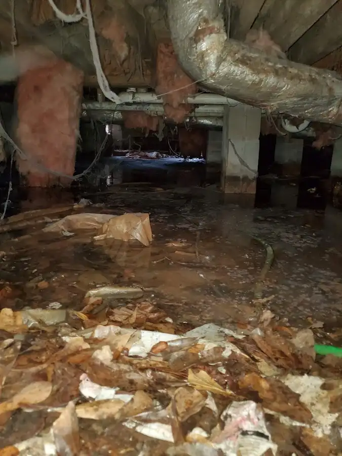 Crawl space flood assessment for Leak Detection & Repair in Yonkers